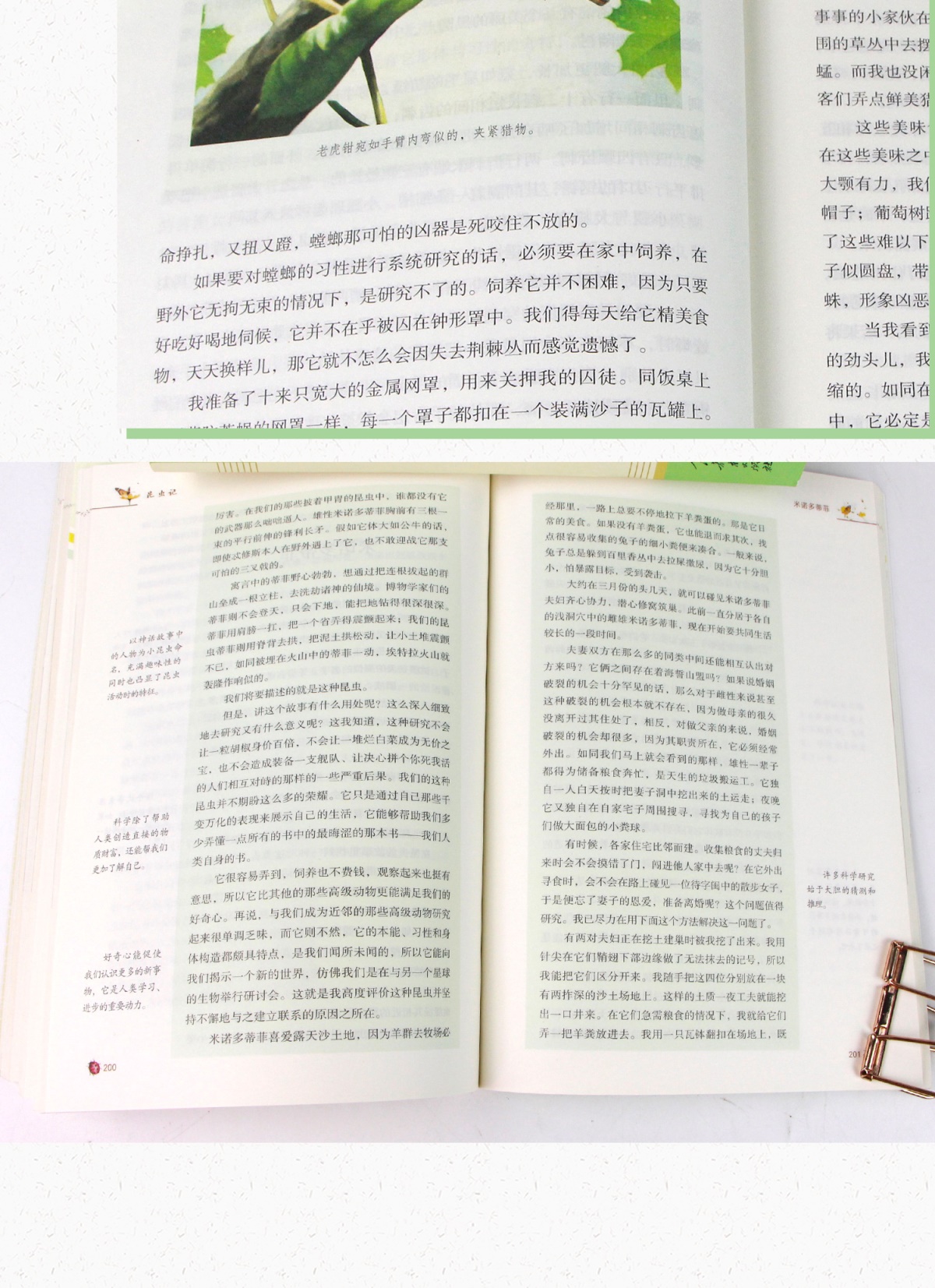 昆虫记初中生必读人教版八年级课外书籍法布尔正版原著完整版人民教育