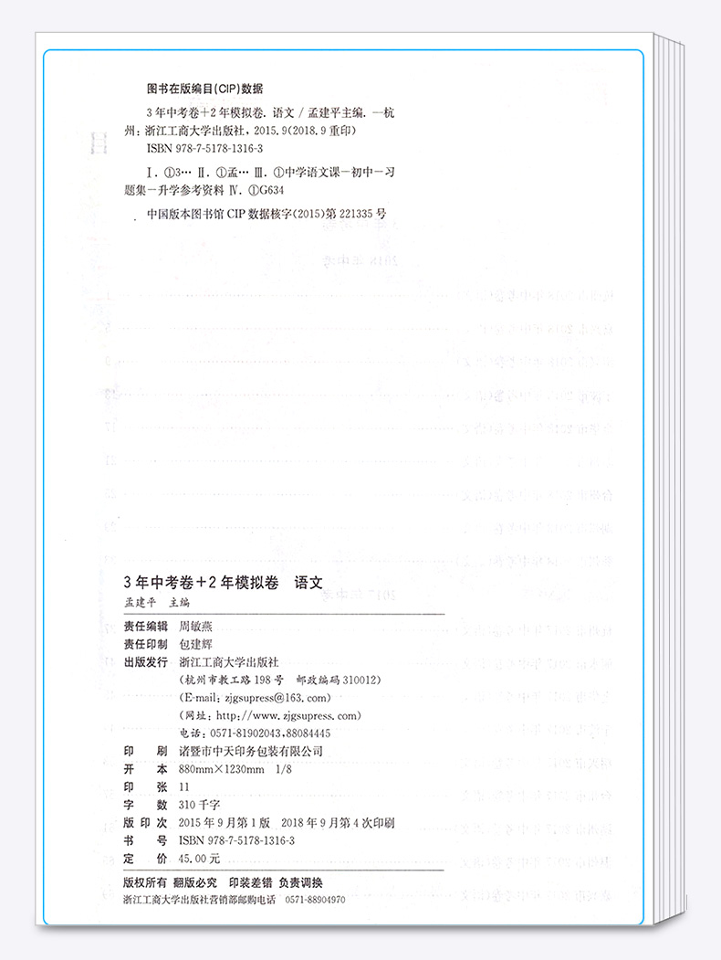 孟建平2020年中考必做 3年中考卷+2年模拟卷 语文 初中生复习辅导资料中学生综合训练真题卷 九年级练习册作业本教辅