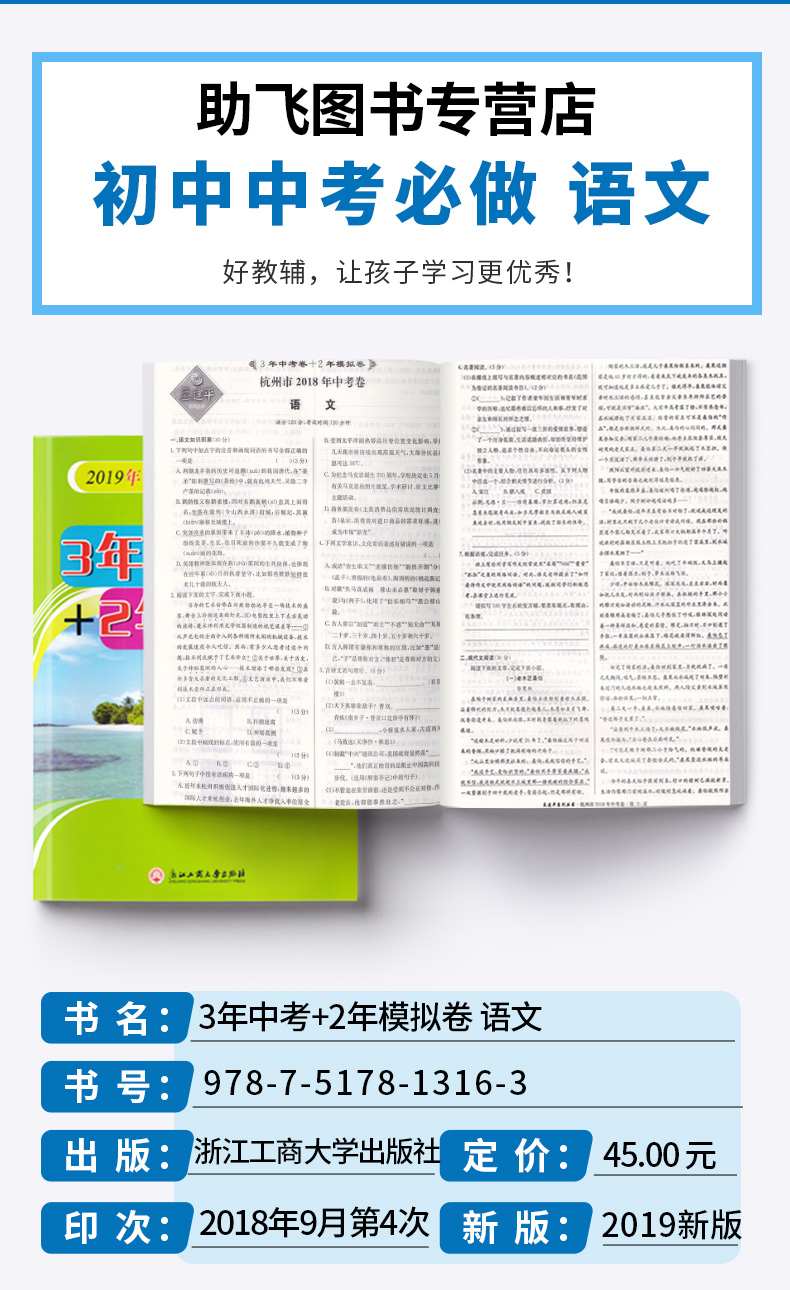 孟建平2020年中考必做 3年中考卷+2年模拟卷 语文 初中生复习辅导资料中学生综合训练真题卷 九年级练习册作业本教辅