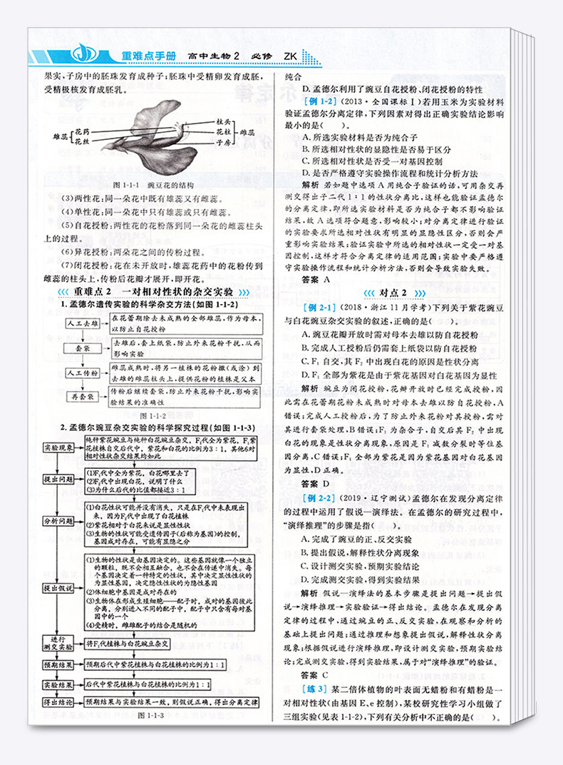 2020新版 王后雄 重难点手册 高中英语必修五人教版第三版 高二上册教材同步训练作业本辅导书 必修5重点知识总复习资料练习册教辅