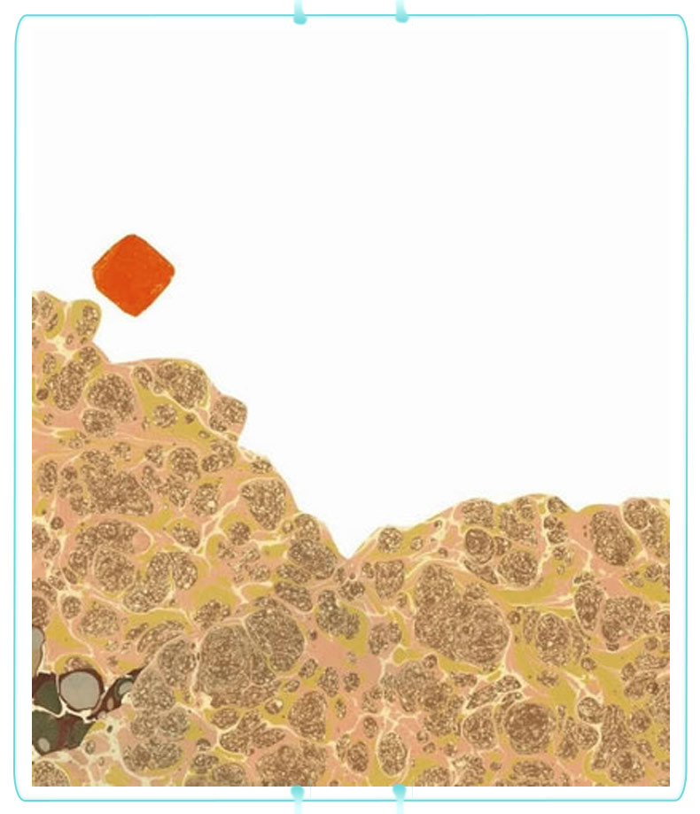佩泽提诺 四度凯迪克奖得主李欧·李奥尼作品 3-6-8岁儿童低幼启蒙创意想象漫画绘本图画书爱心树绘本馆