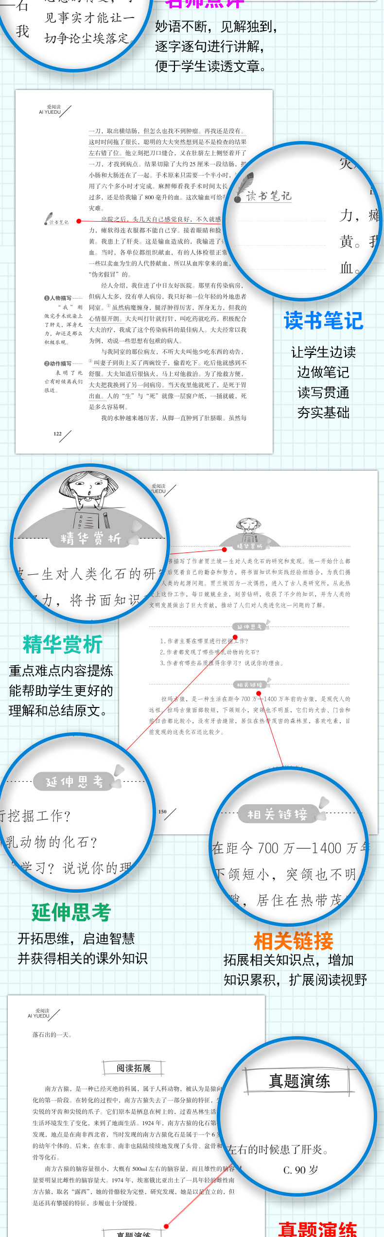 【系列4本35】人类起源的演化过程贾兰坡四年级上册下册必读课外阅读书籍班主任师推荐经典书目指定阅读快乐读书吧小学三五六年级