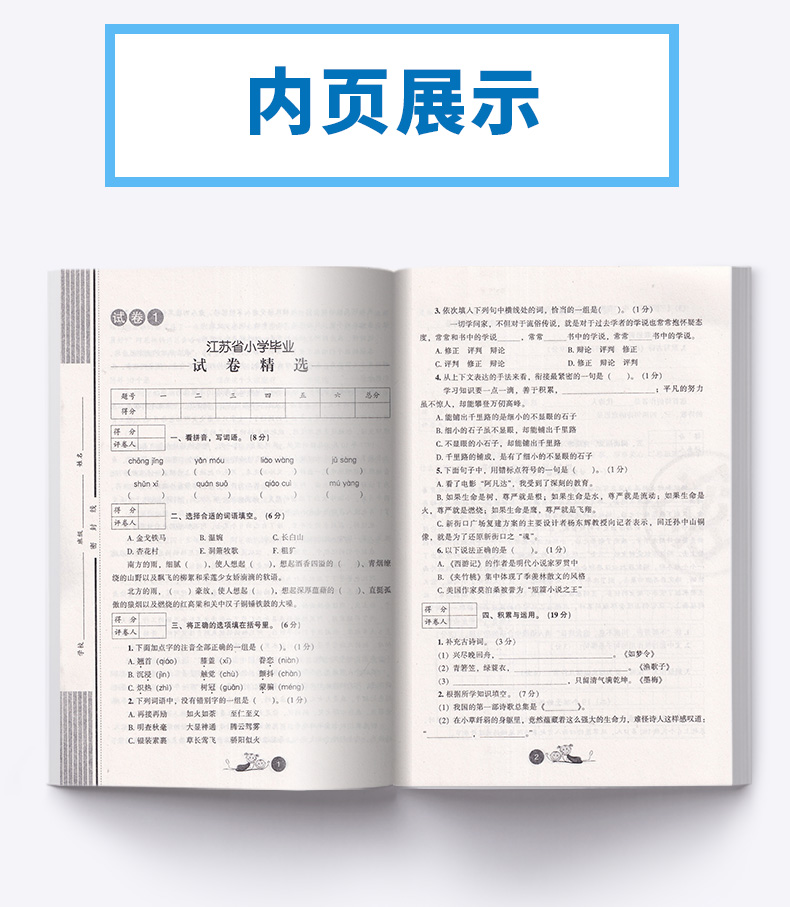 2021新版 小考金卷王 2020年小学毕业升学必备 重点初中招生考试检测试卷语文 连续十三年销量稳居小升初试卷畅销榜前列/正版