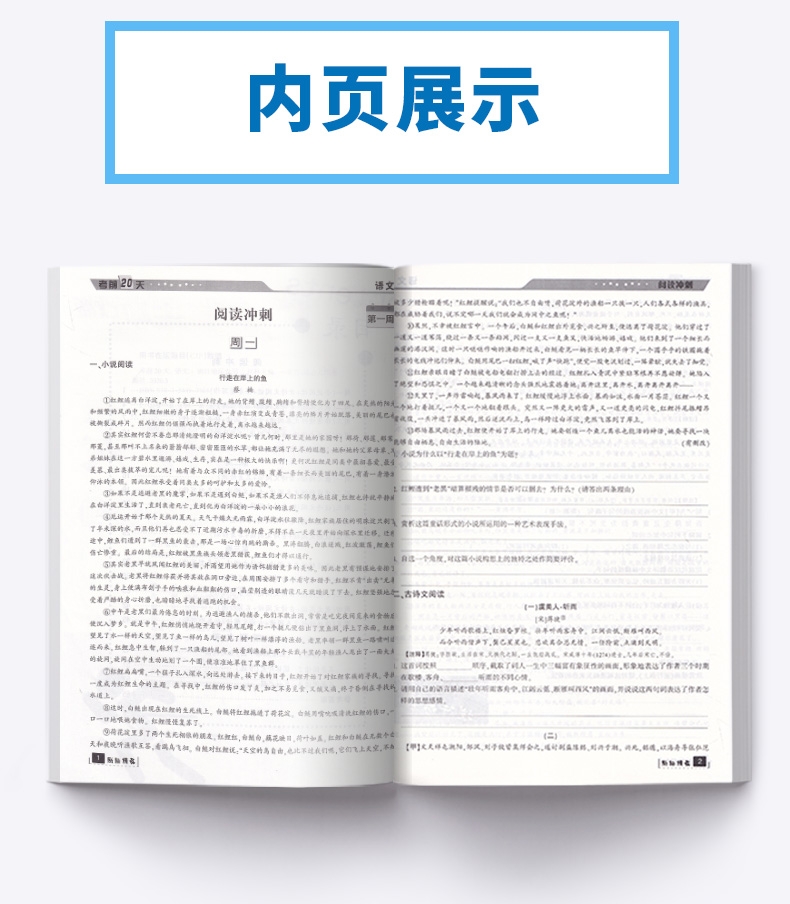 浙江专用考前20天语文数学英语科学全套4本题型集训 励耘书业2020版初中初三九年级下册专项训练模拟必刷题考试卷子中考试卷真题卷