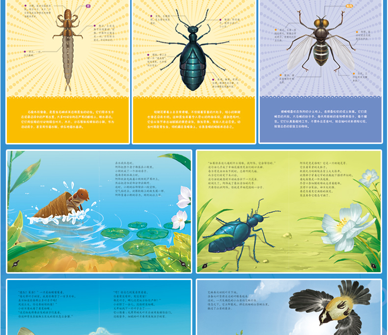 法布尔昆虫记 美绘版全10册正版包邮小学生3-6年级 儿童绘本书籍青少版 原著完整版三年级必读课外书中小学生 四五 小学四年级五六