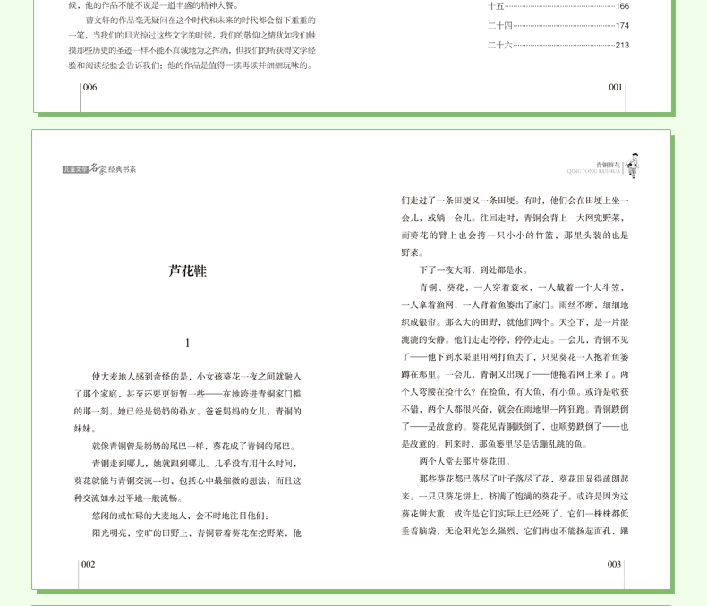 全4册雷锋的故事少年励志红色经典 曹文轩青铜葵花地球的故事帽子的秘密小学生四年级课外书必读老师推荐阅读书籍儿童文学暑假书目