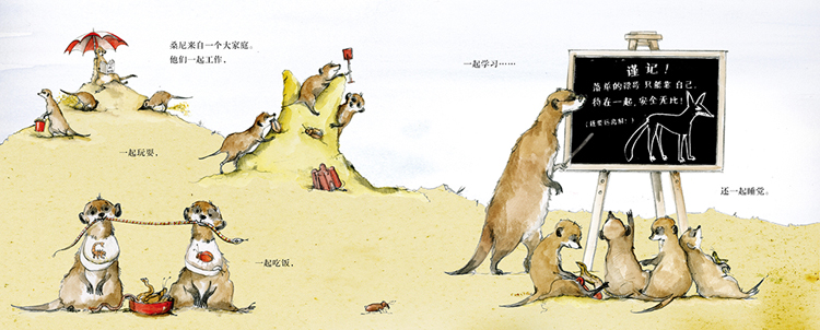 【凯特格林纳威大奖】埃米莉作品正版精装少幼儿童图画书籍0-3-6-8岁麦克米伦世纪绘本獴哥的信(精)亲子共读早教启蒙