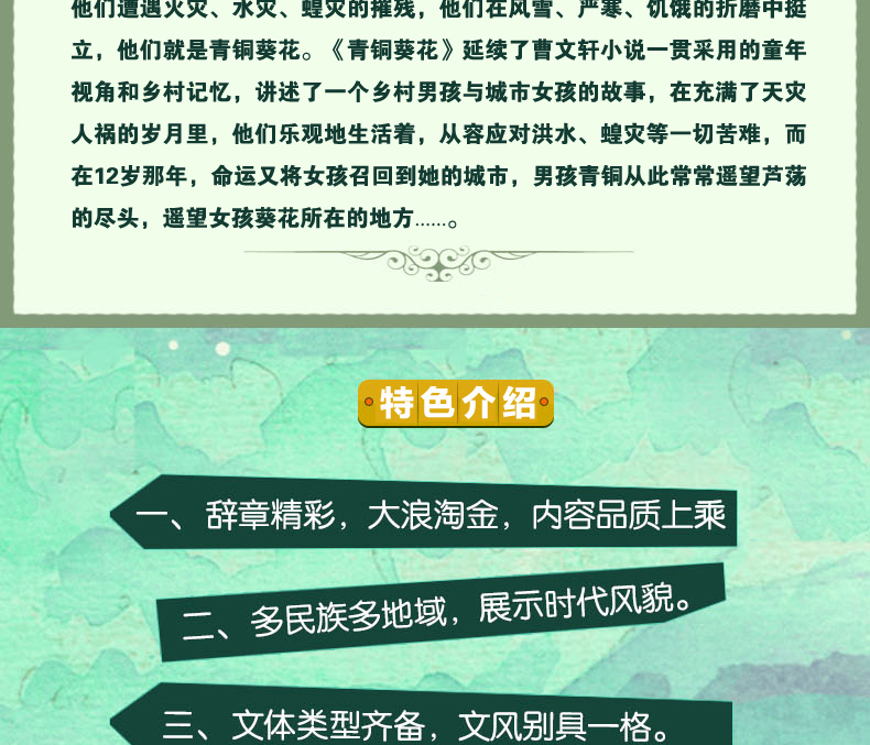 全4册雷锋的故事少年励志红色经典 曹文轩青铜葵花地球的故事帽子的秘密小学生四年级课外书必读老师推荐阅读书籍儿童文学暑假书目