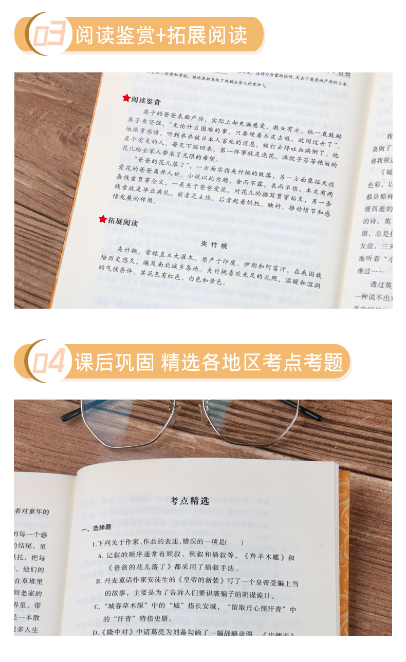 城南旧事正版包邮林海音/中小学生青少年课外书/精美彩插/语文新课标丛书/无障碍阅读版/123456年级课外书籍 城南旧事正版包邮