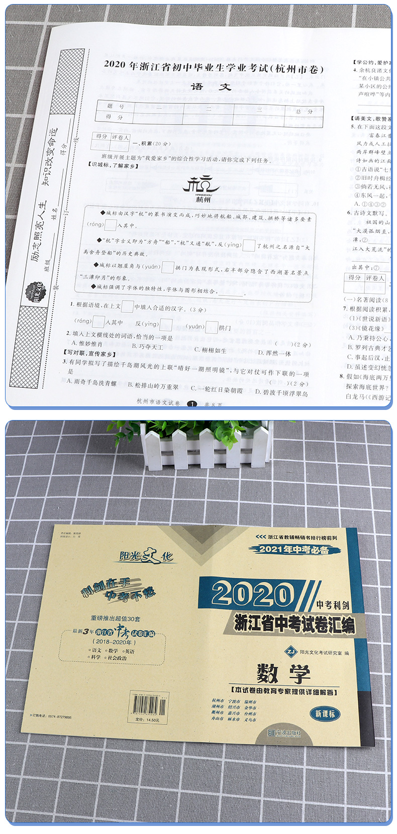 2021新版 中考利剑 浙江省中考试卷汇编 语文数学英语科学社会政治5本 初三9年级2020中考模拟试卷全套汇编新版复习/正版