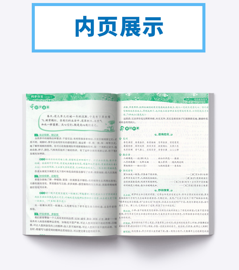 2020新版 春雨同步作文三年级下册 人教版部编版浙江专用 小学生3年级下语文课堂同步作文书起步满分素材大全每天一练