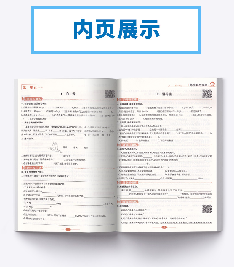 2020新版 薛金星小学教材全练五年级语文上册人教版小学生5年级上课本同步专项训练讲解学习辅导复习资料练习册一日一练