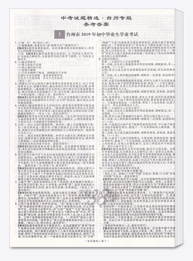 2020版 中考试题精选台州专版语文 天利38套浙江省模拟卷精粹 浙江必刷题初中初三九年级总复习资料测试卷预测卷真题汇编考试卷子