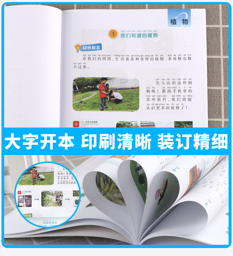 悦读书系 科学拓展阅读彩色版一年级上册 注音版 1年级上小学生同步课外读物 提高课后生物植物自然知识大全教辅辅导工具书/正版