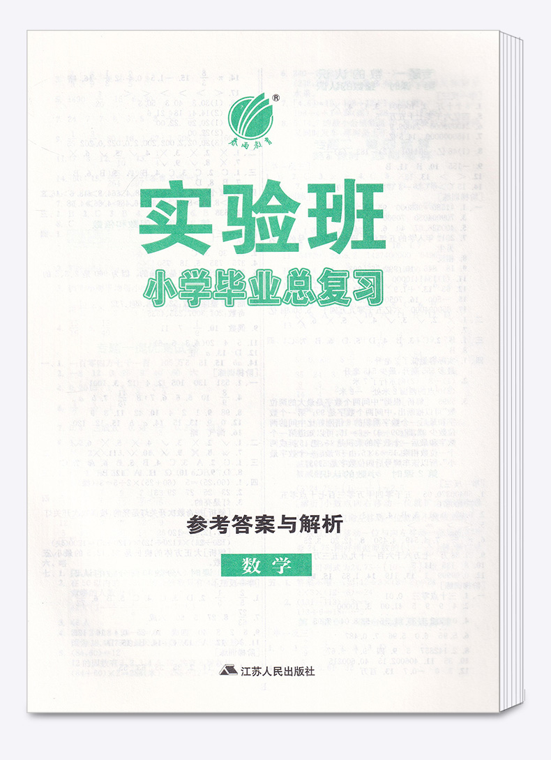 部编版2020新版 数学人教版 小升初六年级下册春雨教育实验班小学毕业总复习 必刷题专题训练毕业系统 测试题真题解析通典知识资料