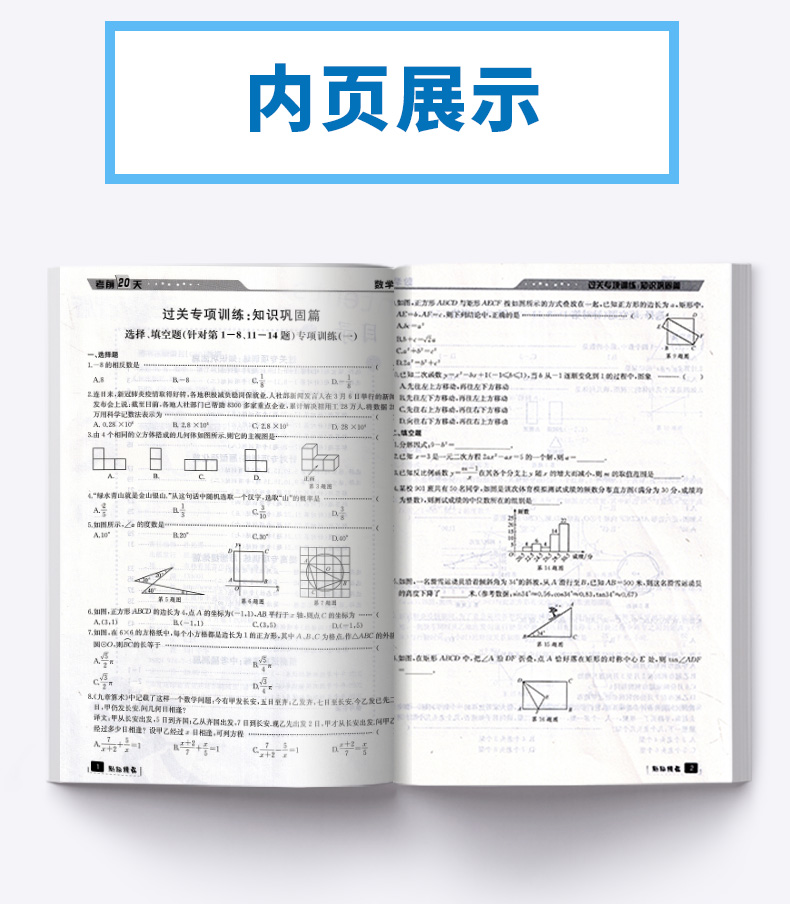 浙江专用 考前20天数学题型集训 励耘书业2020初中初三九年级下册专项总复习资料训练9下模拟必刷题考试卷子中考试卷真题卷练习册