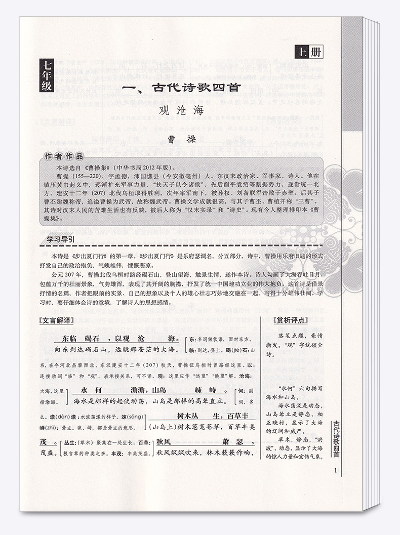 2020新版 初中文言文译注及赏析 吴铜运主编 与人教部编版2020年新教材配套  初中生必备古诗文资料古诗辅导教辅工具书/正版