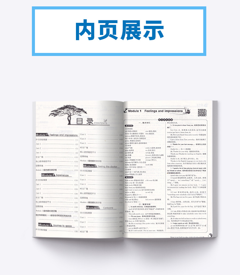 2020新版 实验班提优训练八年级下册英语外研版WY 八下英语单词短语总复习资料训练册 春雨初二8年级下同步练习作业本初中教辅书