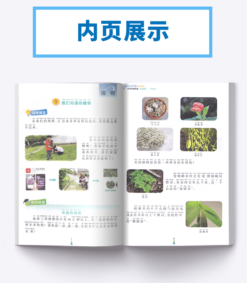 悦读书系 科学拓展阅读彩色版一年级上册 注音版 1年级上小学生同步课外读物 提高课后生物植物自然知识大全教辅辅导工具书/正版