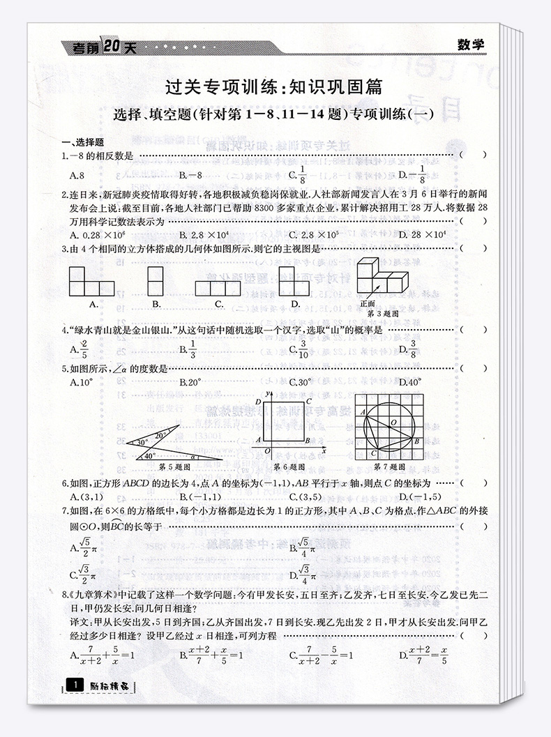 浙江专用 考前20天数学题型集训 励耘书业2020初中初三九年级下册专项总复习资料训练9下模拟必刷题考试卷子中考试卷真题卷练习册