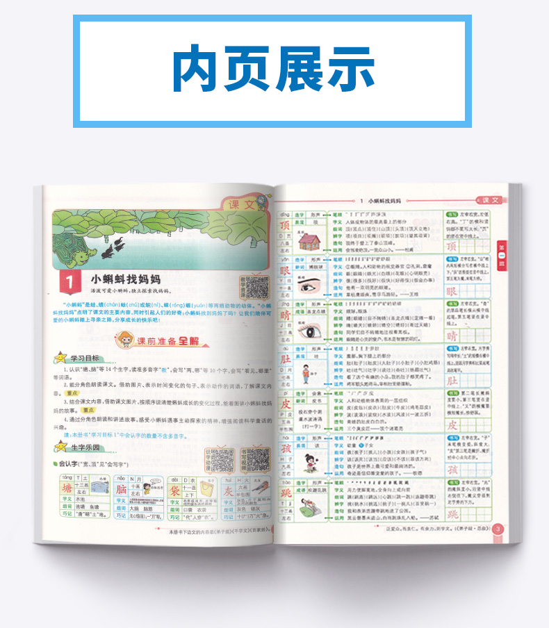 2020秋适用 小学教材全解 二年级语文上册人教版RJ 薛金星 小学2年级课本同步讲解练习解读析训练工具书 小学生同步解读资料辅导书