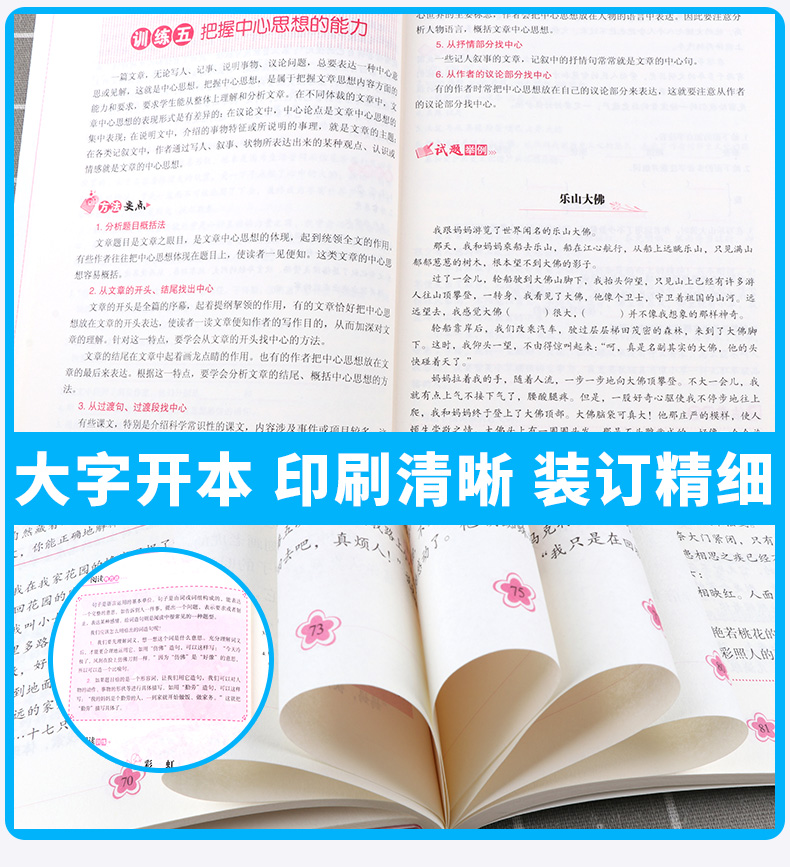 2019新版 方洲新概念小学生语文阅读与作文能力训练五年级上下册通用版 小学5年级课外阅读辅导提升写作能力 徐林主编c