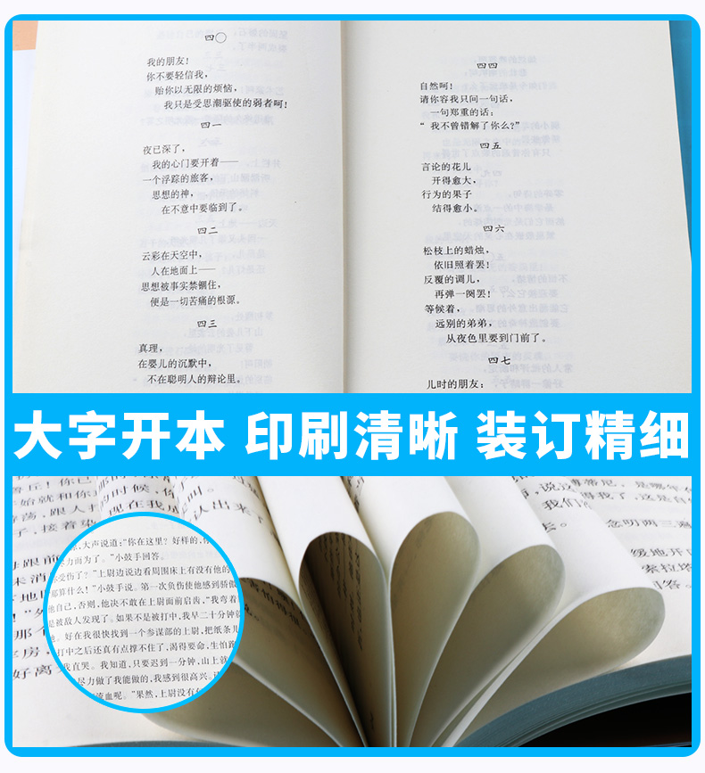 正版包邮 冰心诗选 繁星春水 名家名译权威定本原著书籍 中小学生课外阅读读名著导读 初中新语文必读丛书