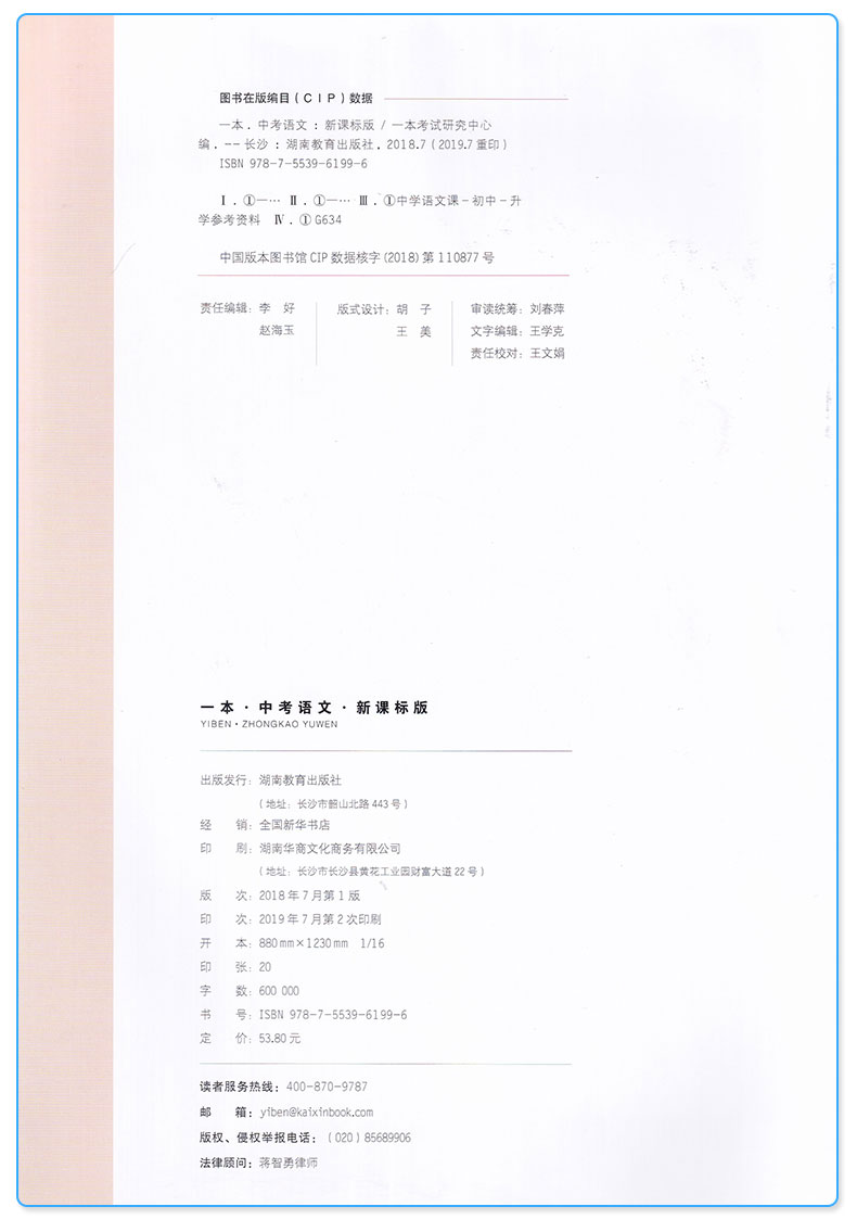 2020新版一本中考语文 初中七7八8九9年级复习资料大全中学生专项分类精选解析解读辅导书中考教辅练习册/正版