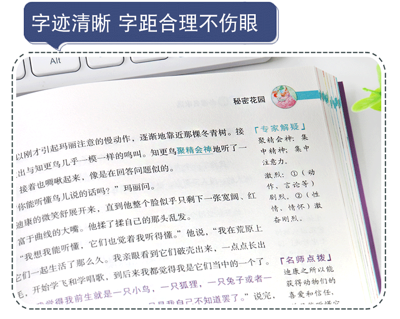 秘密花园书籍经典名著正版书 小学生课外阅读书籍三四五六七年级课外书必读10-12-15周岁畅销书伯内特原著 儿童文学读物童话故事书