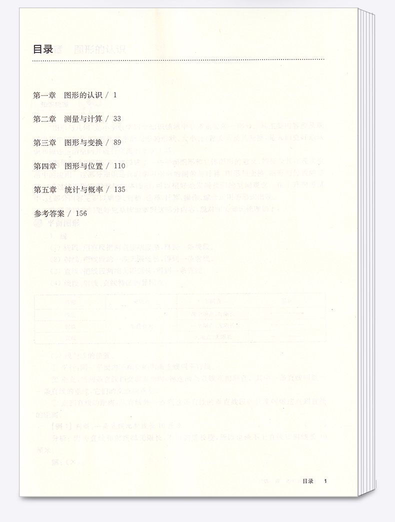 2021新版 百题大过关 小升初数学图形与统计百题 小学六年级上册下册专项强化训练 基础知识大全综合冲刺备考模拟附答案详解
