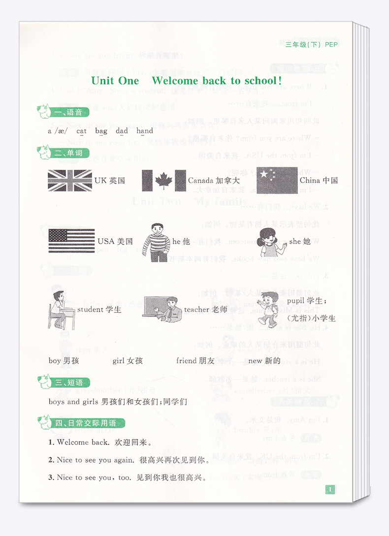 2020新版 阳光同学期末15天冲刺复习100分三年级下册英语人教版 小学生3年级下同步教材专项练习册总复习资料考试卷卷子