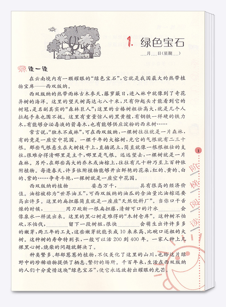 2020新版 小学语文阶梯阅读培优训练 五年级上下册通用第6版 俞老师教阅读 小学生5年级课外阅读理解专项训练题短文辅导