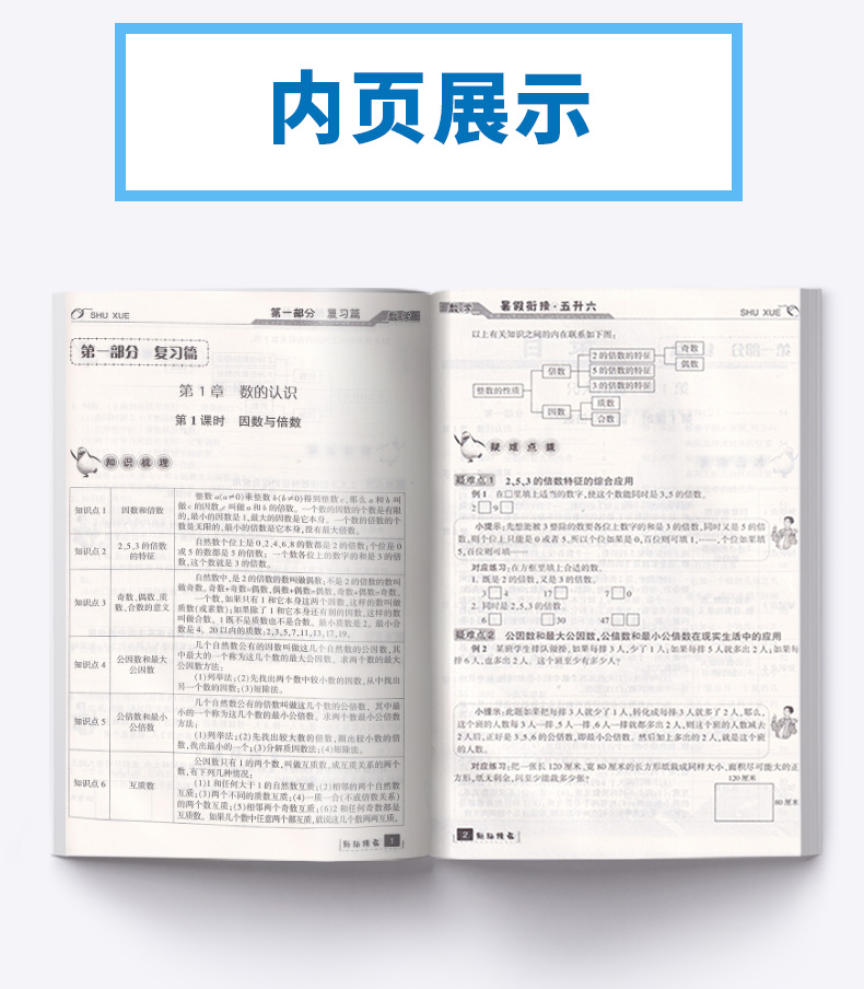 2020新版 励耘书业暑假衔接 5升6数学人教版 小学五年级升六年级教材家庭作业本假期辅导衔接教材训练 小学生5升6培训练习测试