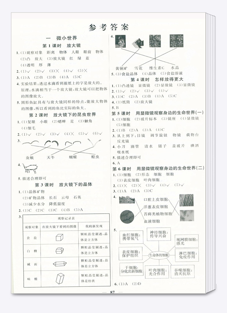 2020新版 阳光同学六年级下册语文数学英语人教版科学教科版全套四本课时优化作业小学6年级下课堂同步练习册单元检测试卷卷子宇轩