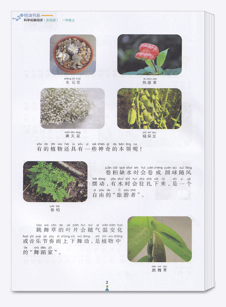 悦读书系 科学拓展阅读彩色版一年级上册 注音版 1年级上小学生同步课外读物 提高课后生物植物自然知识大全教辅辅导工具书/正版
