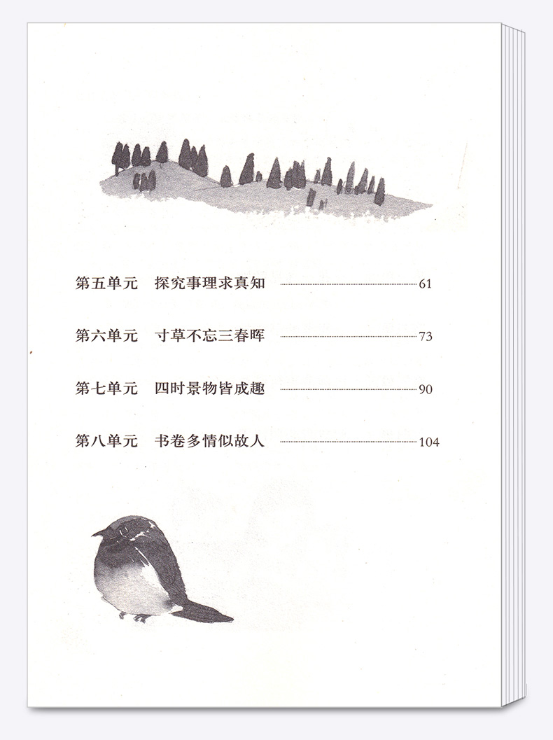 2020新版 小学语文同步阅读夹一张绿叶在你爱读的书里五年级上册人教版部编版 小学生5年级上教材同步阅读理解训练课外阅读本