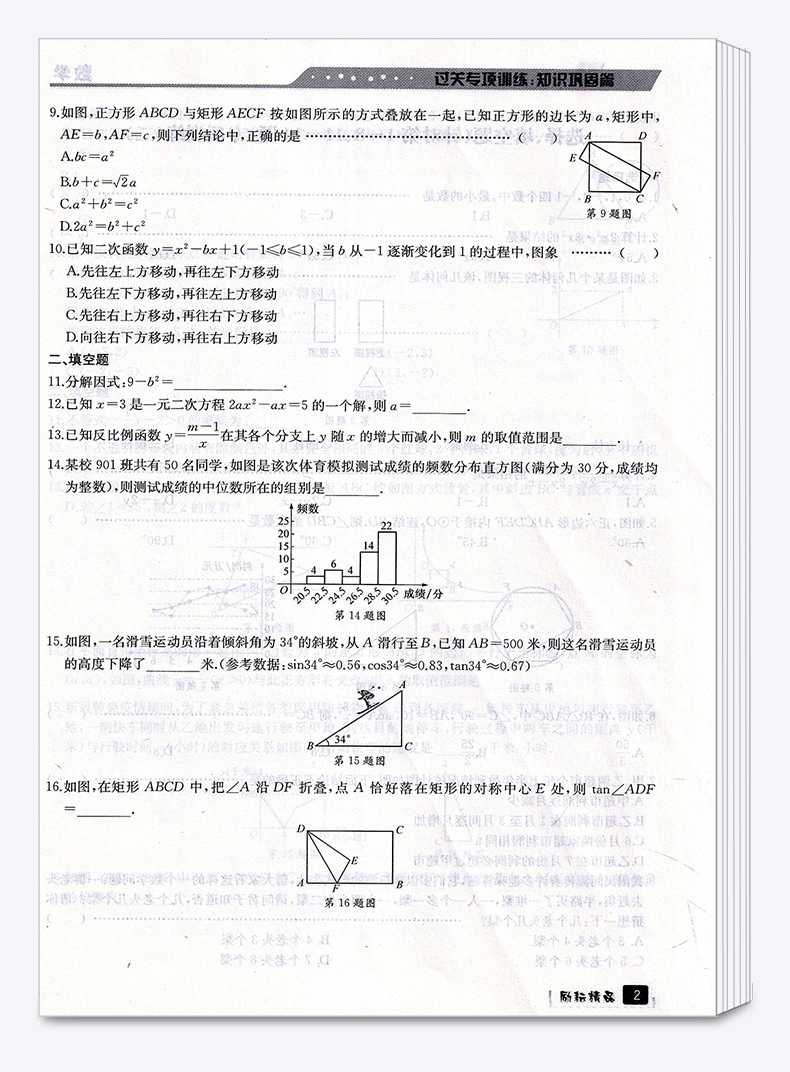 浙江专用 考前20天数学题型集训 励耘书业2020初中初三九年级下册专项总复习资料训练9下模拟必刷题考试卷子中考试卷真题卷练习册