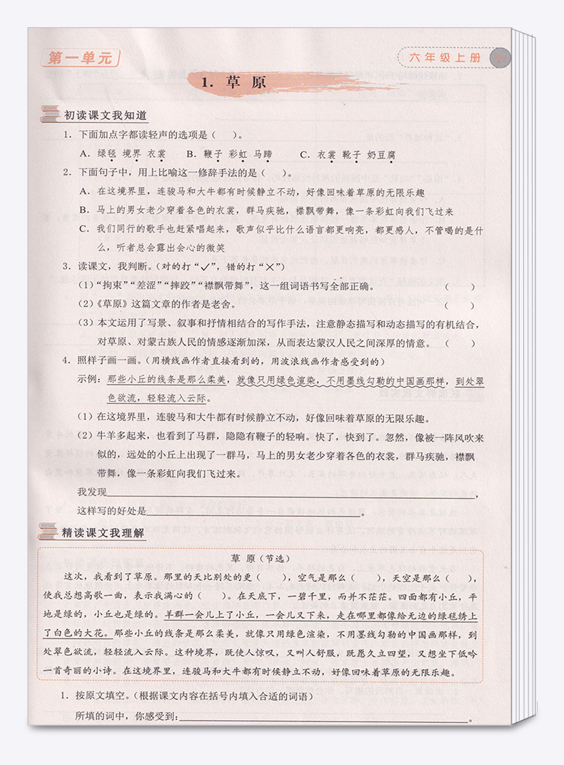 2020新版 学而老师词林采撷 六年级上册浙江专版 小学5年级上同步部编版教材练习册词语填空作业本训练练习与测试