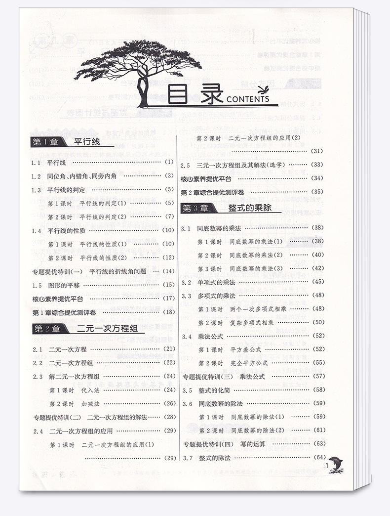 2020新版 实验班提优训练七年级下册数学浙教版 7下数学公式定律总复习资料训练册 春雨初一同步练习作业本初中教辅书