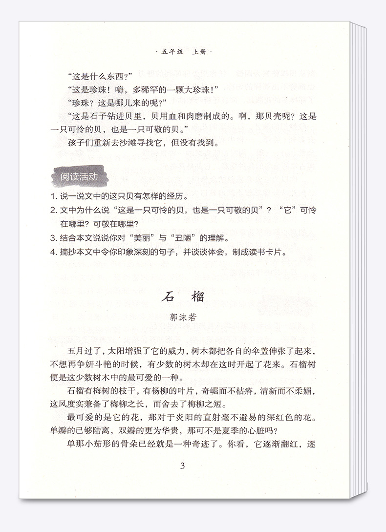 2020新版 小学语文同步阅读夹一张绿叶在你爱读的书里五年级上册人教版部编版 小学生5年级上教材同步阅读理解训练课外阅读本