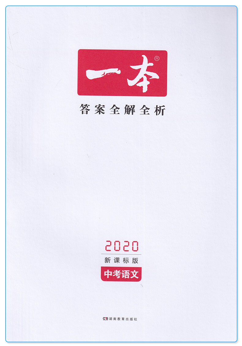 2020新版一本中考语文 初中七7八8九9年级复习资料大全中学生专项分类精选解析解读辅导书中考教辅练习册/正版