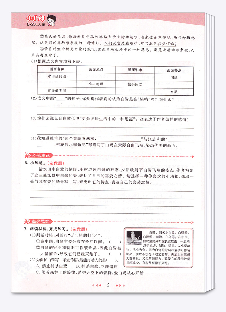 2020新版 53天天练小学语文五年级上册人教版 5年级上试卷同步辅导训练练习册 五三5.3课时单元期末测试卷题教辅书曲一线