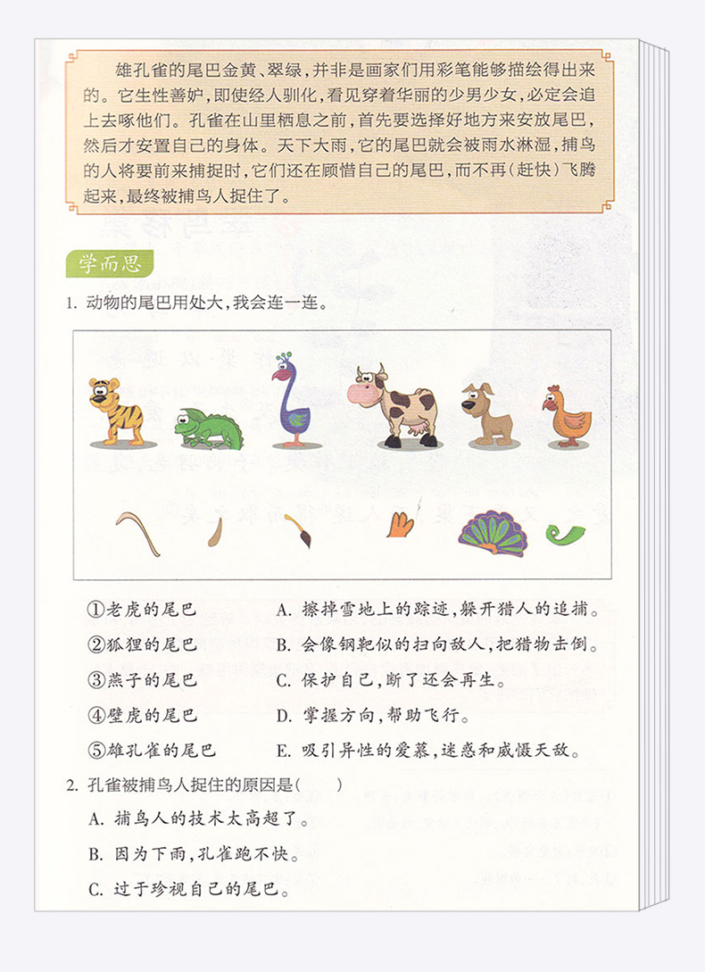 2020新版 小学文言启蒙课第三册王崧舟注音注释小学生必备一1二2三3年级语文国学经典文言文阅读全解训练赏析趣味小古文必背书籍