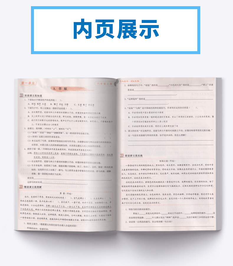 2020新版 学而老师词林采撷 六年级上册浙江专版 小学5年级上同步部编版教材练习册词语填空作业本训练练习与测试
