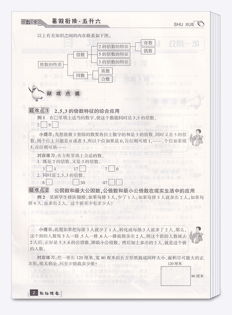 2020新版 励耘书业暑假衔接 5升6数学人教版 小学五年级升六年级教材家庭作业本假期辅导衔接教材训练 小学生5升6培训练习测试