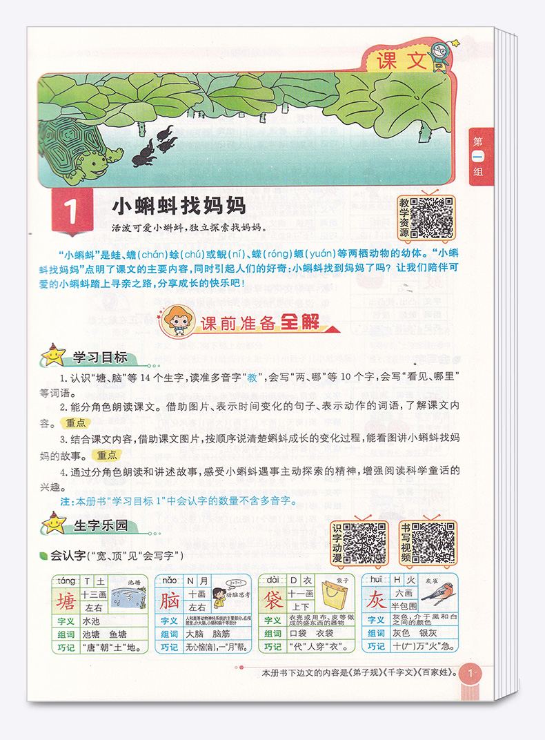 2020秋适用 小学教材全解 二年级语文上册人教版RJ 薛金星 小学2年级课本同步讲解练习解读析训练工具书 小学生同步解读资料辅导书