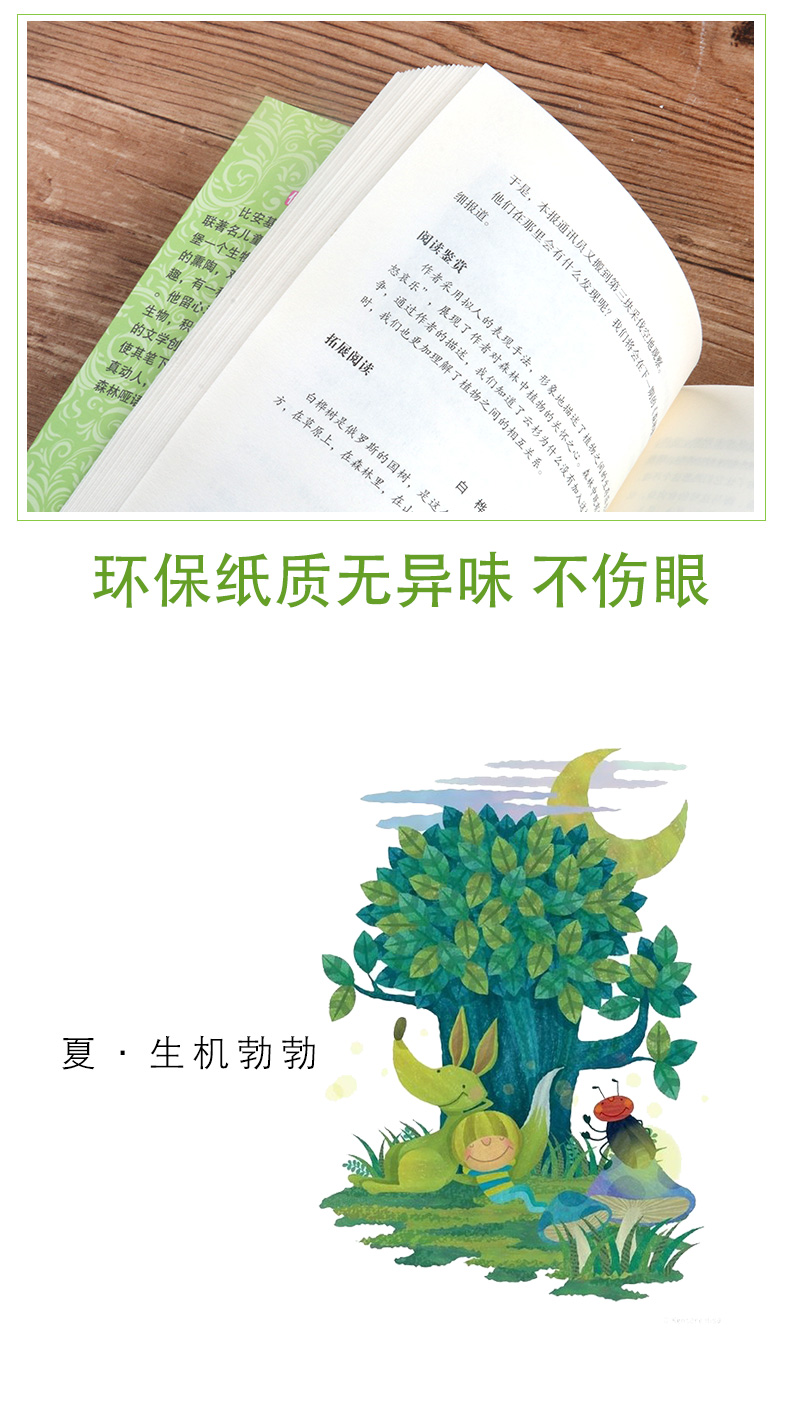 森林报 夏 正版书包邮 青少年语文新课标班主任老师推荐8-12岁三四年级五年级适合小学生少儿阅读故事绘本 儿童文学系列畅销课外书