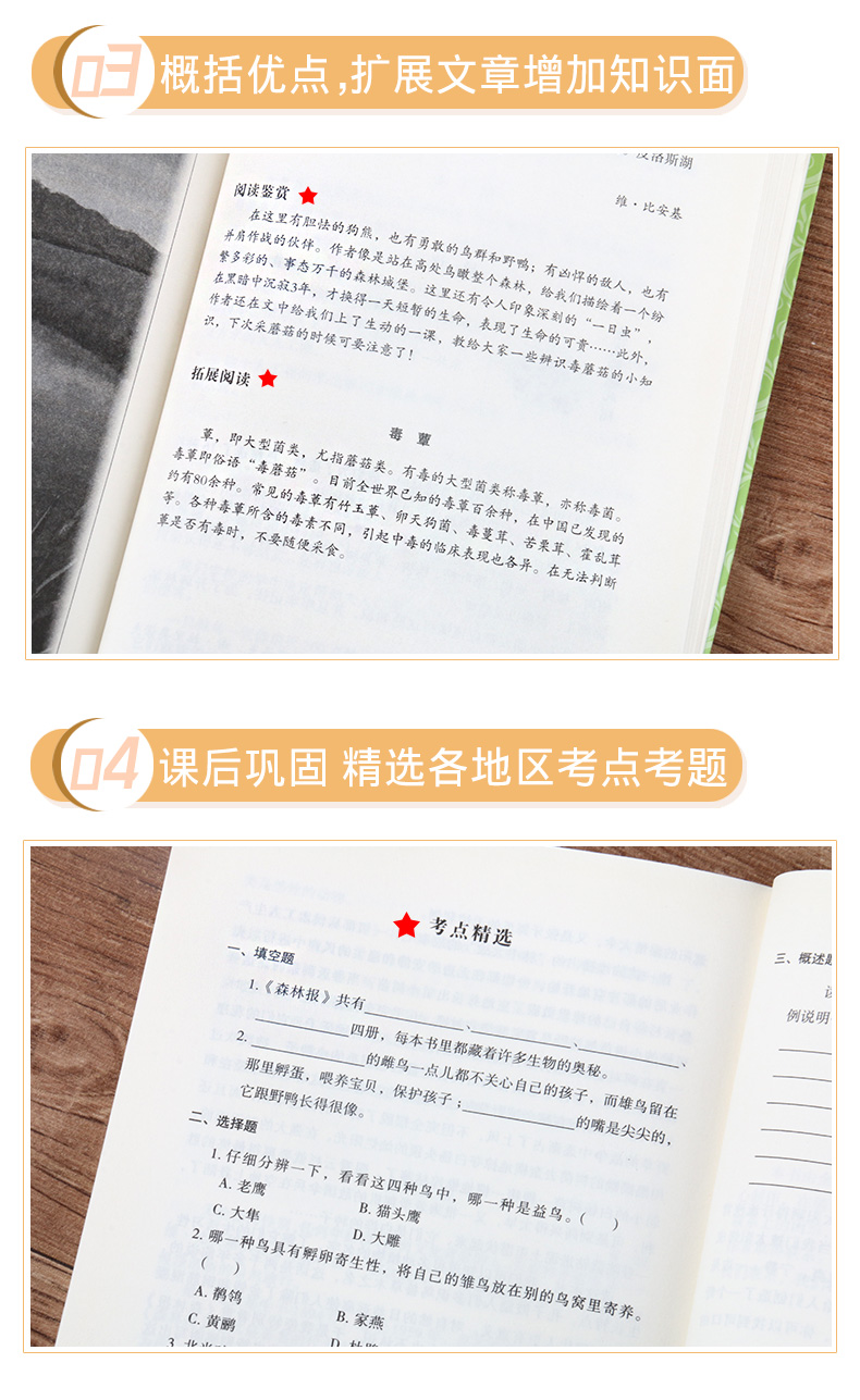 森林报 夏 正版书包邮 青少年语文新课标班主任老师推荐8-12岁三四年级五年级适合小学生少儿阅读故事绘本 儿童文学系列畅销课外书