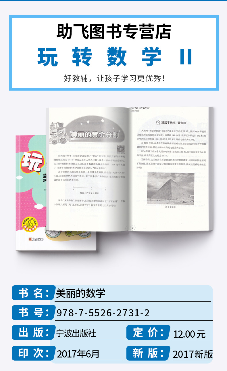 玩转数学II 美丽的数学 宁波出版社 修订版 提高中小学生初中生兴趣练习训练智力脑力动手能力奥数教辅辅导大全/正版