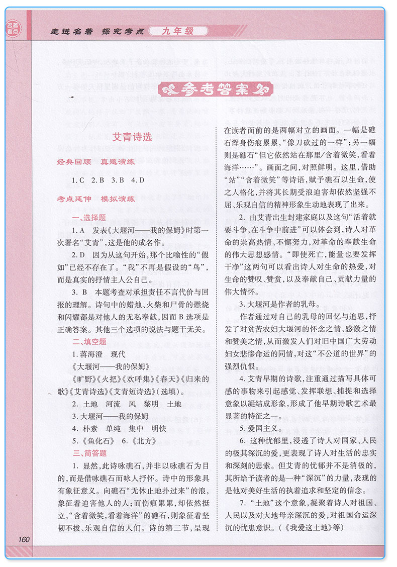 2019新版 走进名著探究考点九年级 初中生导读考点精练 中考知识解读与重点详解 真题模拟练习 初三9年级语文阅读总结考题专项训练